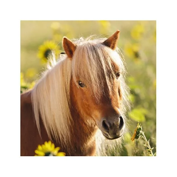 3 PUZZLES DE 49 PIECES ADORABLES PONEYS