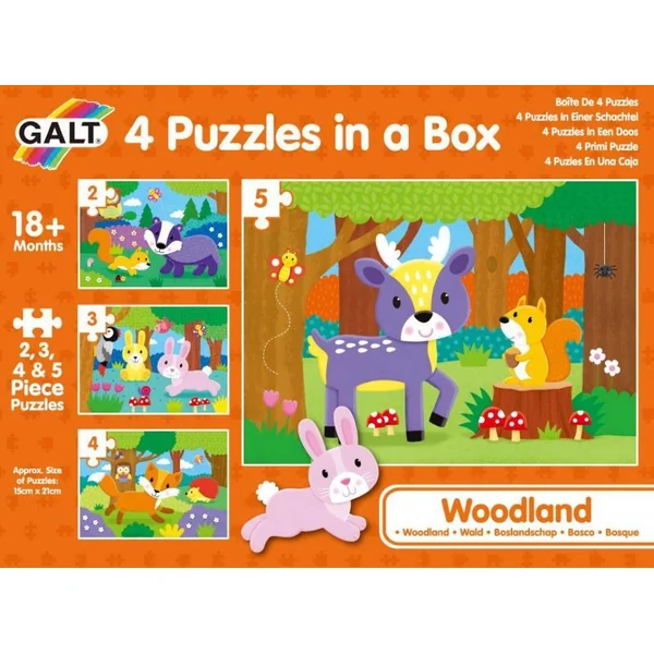 4 Puzzle dans la boîte - Dans la forêt