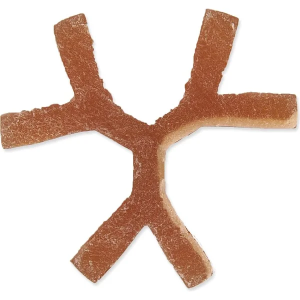 Affichage Dentosaurus bâtonnet avec propolis L 21cm 20pcs