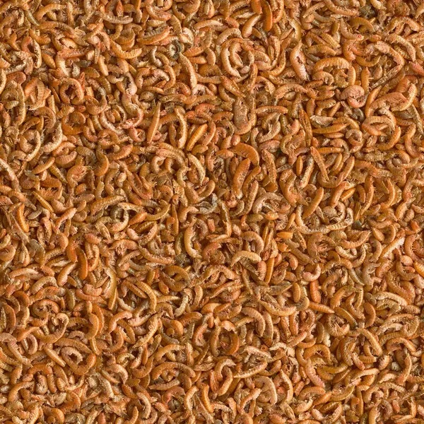 Aliment Tetra Gammarus 1l