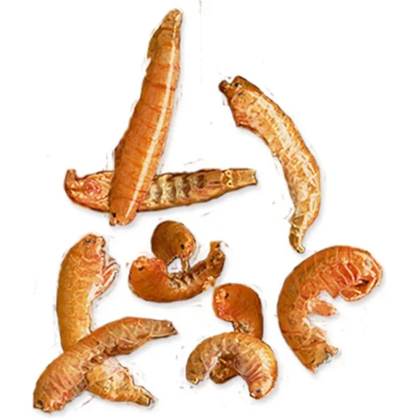 Aliment Tetra Gammarus 1l