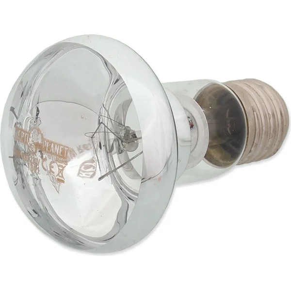 Ampoule Repti Planet Daylight Basking Spot 50W