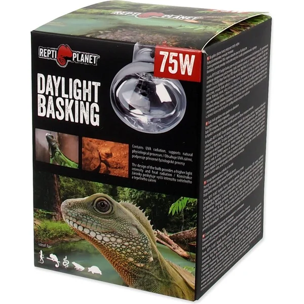 Ampoule Repti Planet Daylight Basking Spot 75W
