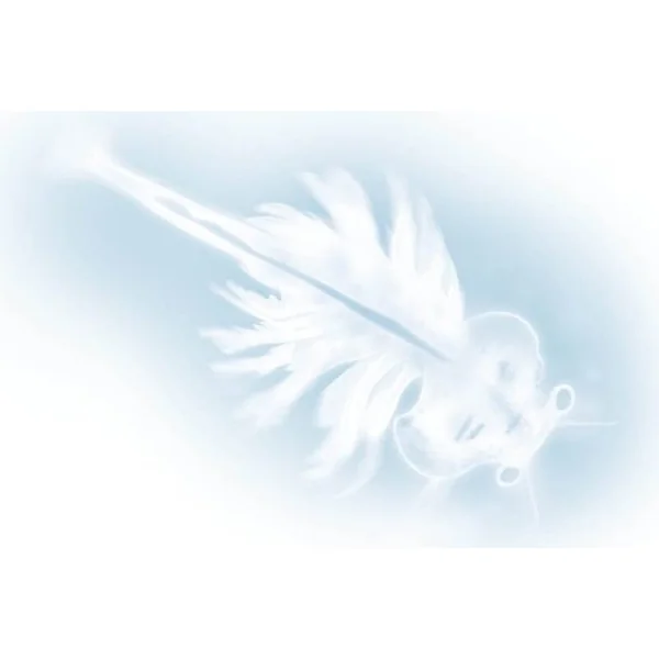 Buki - dragons d'eau