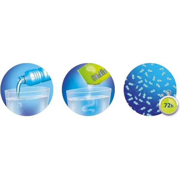 Buki - dragons d'eau