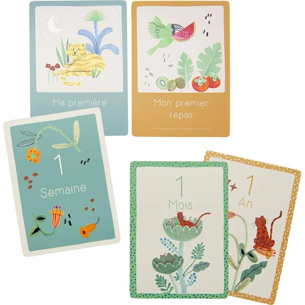 CARTES MES 12 PREMIERS MOIS LA FORET MAWA (30 CARTES)