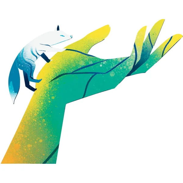 CARTES TRADITIONNELLES : TAROT