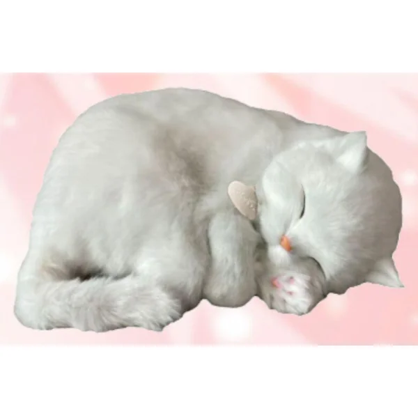 CHAT SHORTHAIR BLANC PERFECT PETZZZ