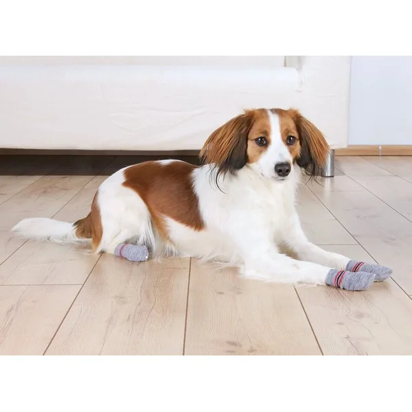 Chaussettes antidérapantes Trixie grises M-L 2pcs