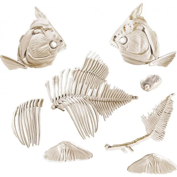 Clementoni Excavations - Piranha