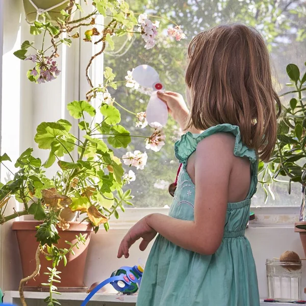 CLIXO Window - ensemble de construction magnétique 24 pièces