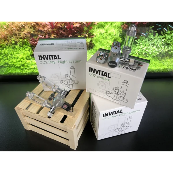 CO2 set Standard avec arrêt nocturne sans bouteille avec accessoires