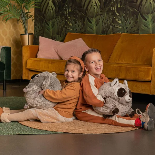 Cozy Noxxiez HW712 Raton laveur - coussin en peluche chauffant 3 en 1