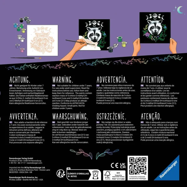 CREART - 20X20 CM - RATON LAVEUR - PIXIE COLD EDITION