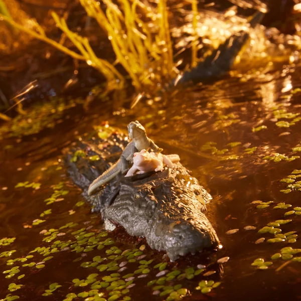 Croc Master & Fiona figurine G.I. Joe Classified Series Hasbro 15 cm