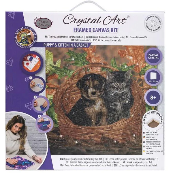 CRYSTAL ART KIT TABLEAU BRODERIE DIAMANT 30X30CM CHAT ET CHIE