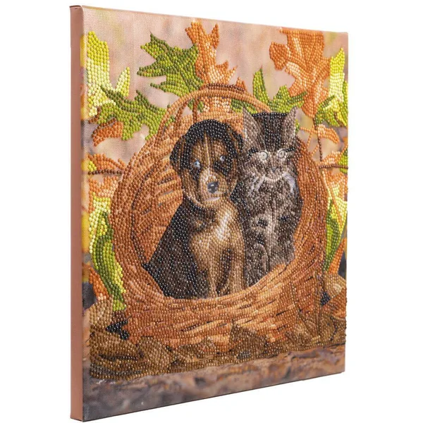 CRYSTAL ART KIT TABLEAU BRODERIE DIAMANT 30X30CM CHAT ET CHIE