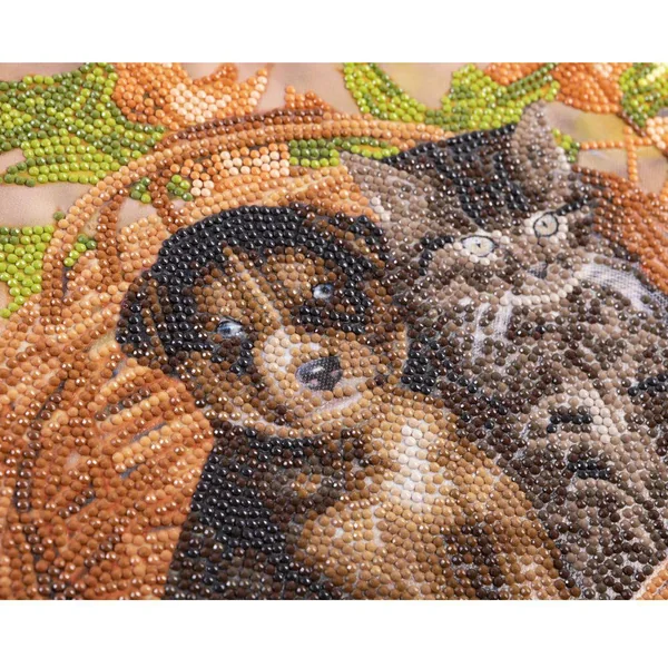 CRYSTAL ART KIT TABLEAU BRODERIE DIAMANT 30X30CM CHAT ET CHIE