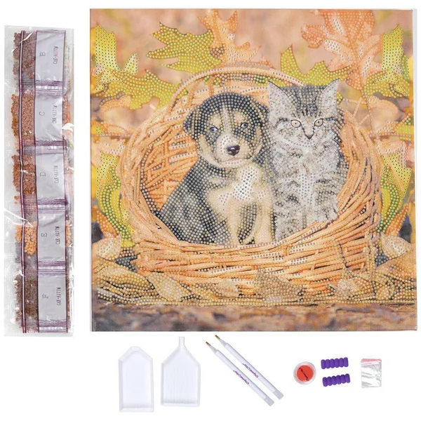 CRYSTAL ART KIT TABLEAU BRODERIE DIAMANT 30X30CM CHAT ET CHIE