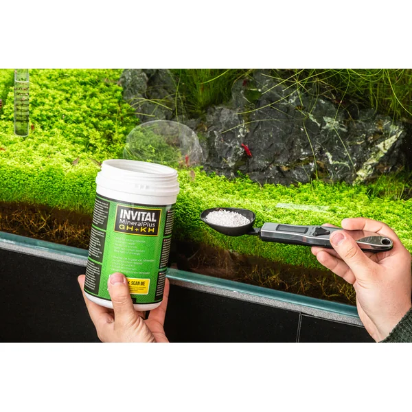 Cuillère numérique - balance électronique