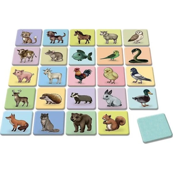 DINO Jeu de mémoire animaux