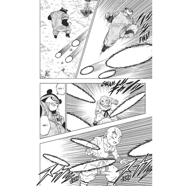 DRAGON BALL SUPER - MANGA TOME 13 - COMBATS DIVERS