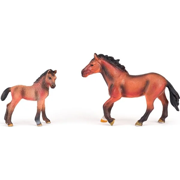 Ensemble de chevaux avec un lipizzan