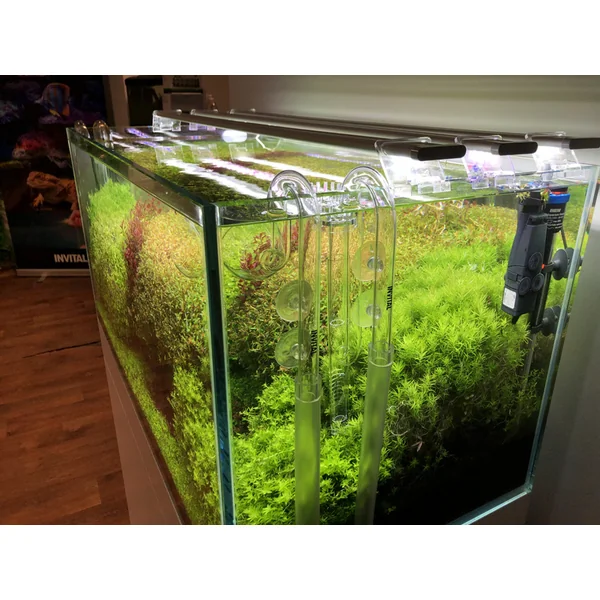 Ensemble Lily pipes 12/16mm