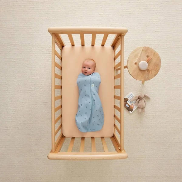 ERGOPOUCH Couverture et sac de couchage 2 en 1 Cocoon Dragonflies 6-12 m, 8-10 kg, 0,2 tog