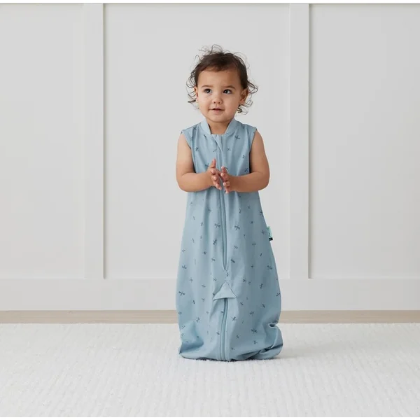 ERGOPOUCH Sac et combinaison de sommeil 2 en 1 coton biologique Suit Dragonflies 3-12 m, 6-10 kg, 0,