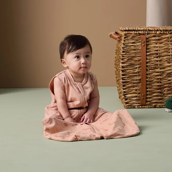 ERGOPOUCH Sac et combinaison de sommeil 2 en 1 coton biologique Suit Elephant Parade 8-24 m, 8-14 kg