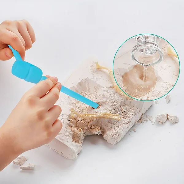 EXCAVATION DE FOSSILES - STEGOSAURE