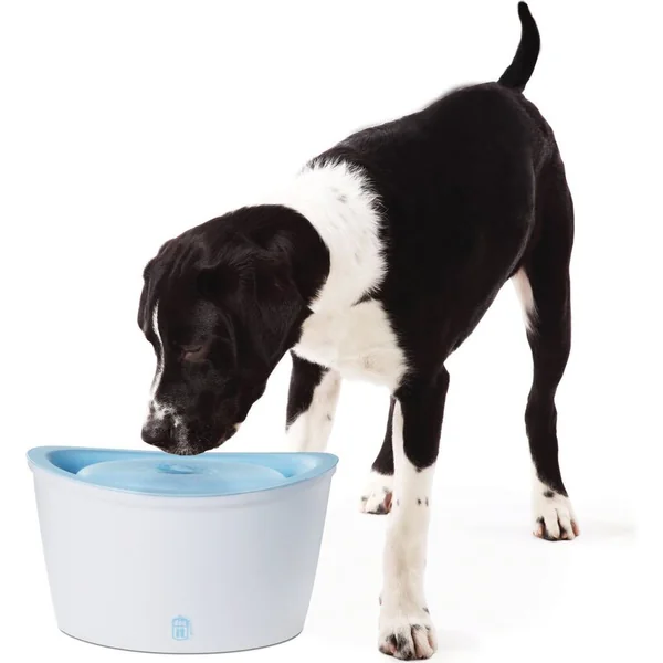 Fontaine Dogit ZEUS 6L