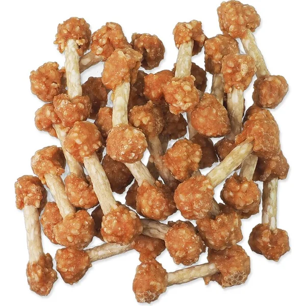 Friandise Rasco Premium peau de buffle enrobée de poulet, bâtonnets 500g