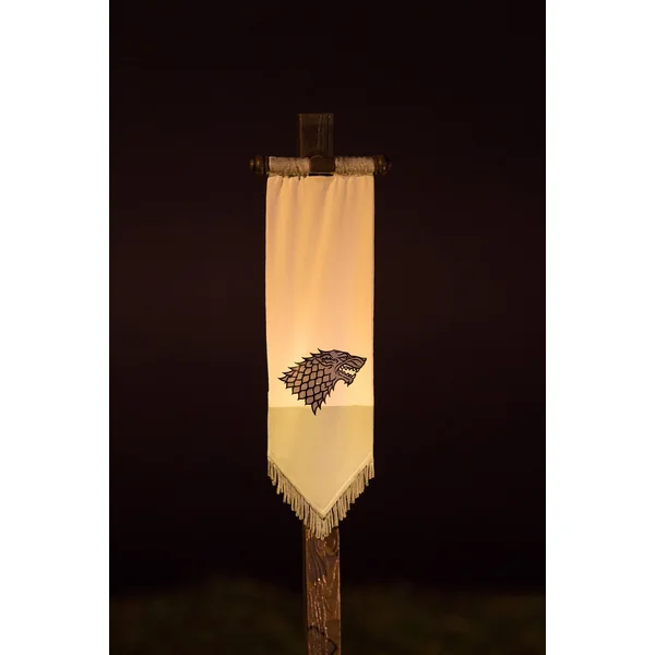 GAME OF THRONES: STARK BANNER PACK - jeu de construction