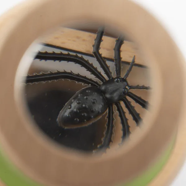 GRANDE BOITE D'OBSERVATION LE JARDIN DU MOULIN