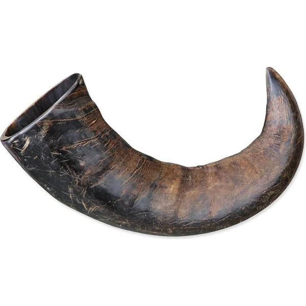 Grande corne à mâcher Genuine buffalo