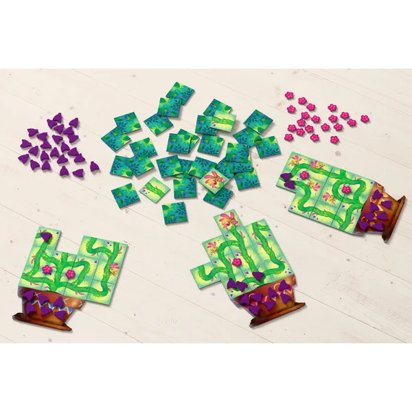 Haba Plantes carnivores affamées Nourris-les avec des mouches et regarde-les grandir ! Version angla