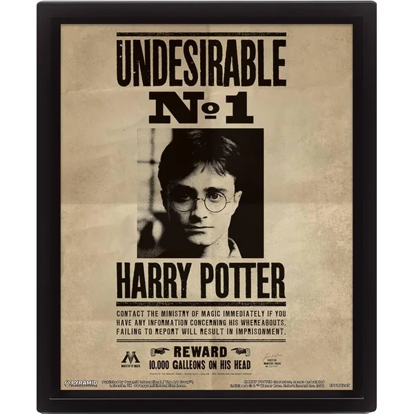 HARRY POTTER - CADRE 3D LENTICULAIRE SIRIUS BLACK