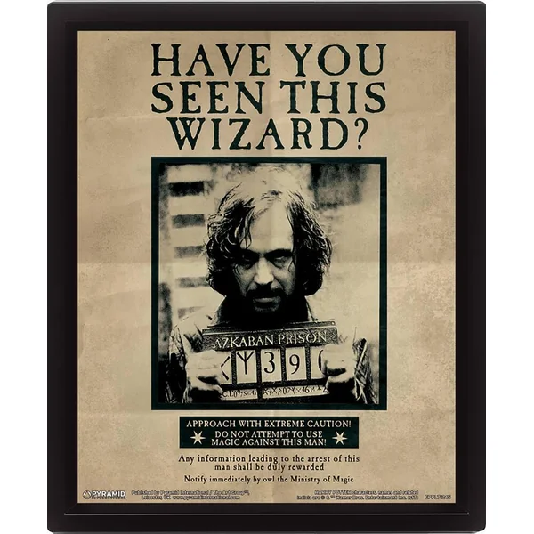 HARRY POTTER - CADRE 3D LENTICULAIRE SIRIUS BLACK
