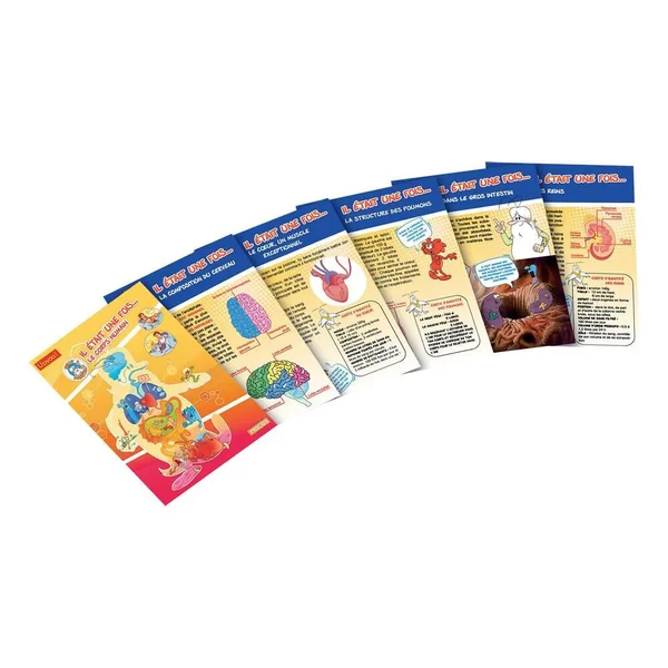 HELLO MAESTRO - DECOUVRE LE CORPS HUMAIN - IL ETAIT UNE FOIS AVEC HELLO MAESTRO