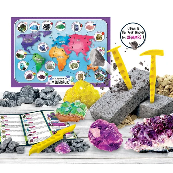 I'M A GENIUS SCIENZA POCKET- A LA DECOUVERTE DES MINERAUX