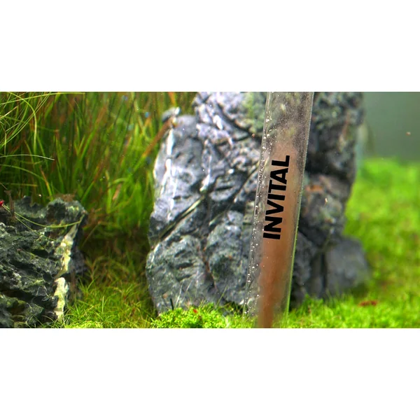 INVITAL AquaSwift kit de changement d'eau