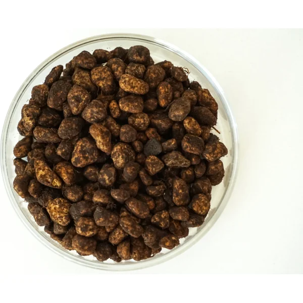 INVITAL DeepBasis 2l