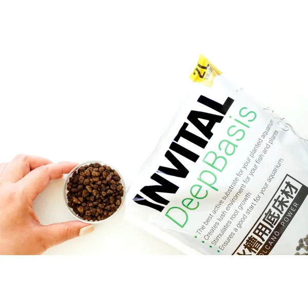 INVITAL DeepBasis 2l