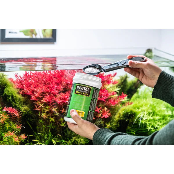 INVITAL MineralPlus GH+KH 250g