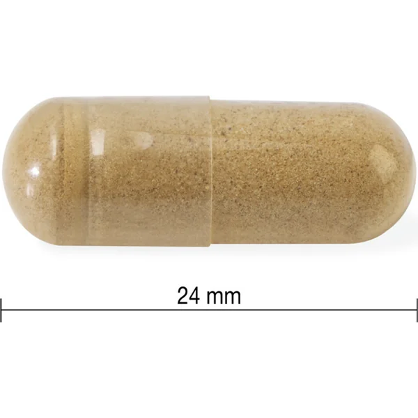 Jamieson Ashwagandha 60 capsules