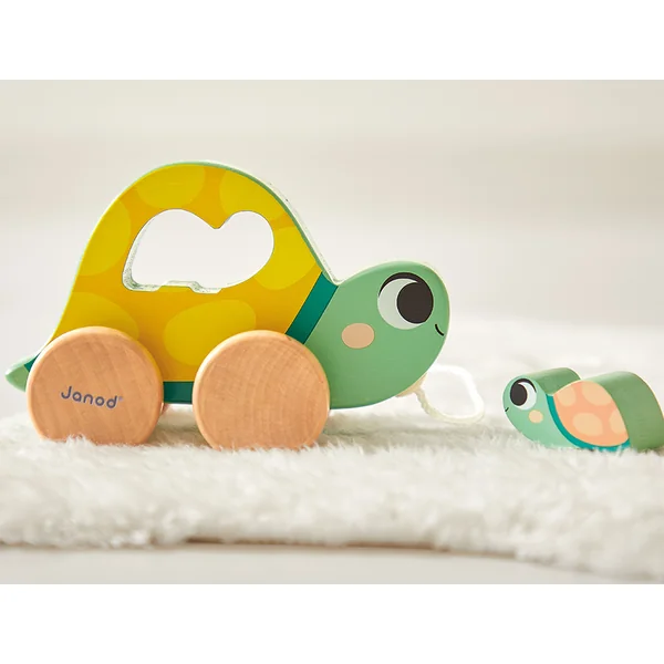 Janod Boîte Perfectionnement de la motricité fine chez les enfants à partir de 18 mois