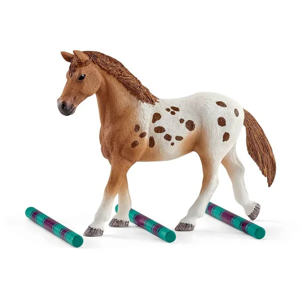 KIT D'ENTRAINEMENT AU CONCOURS & CHEVAUX APPALOOSA - HORSE CLUB