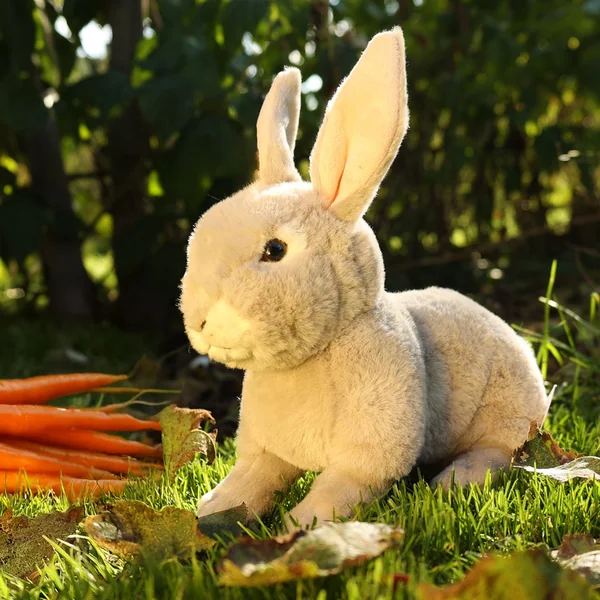 Lapin en peluche gris 23 cm SOFT COLLECTION